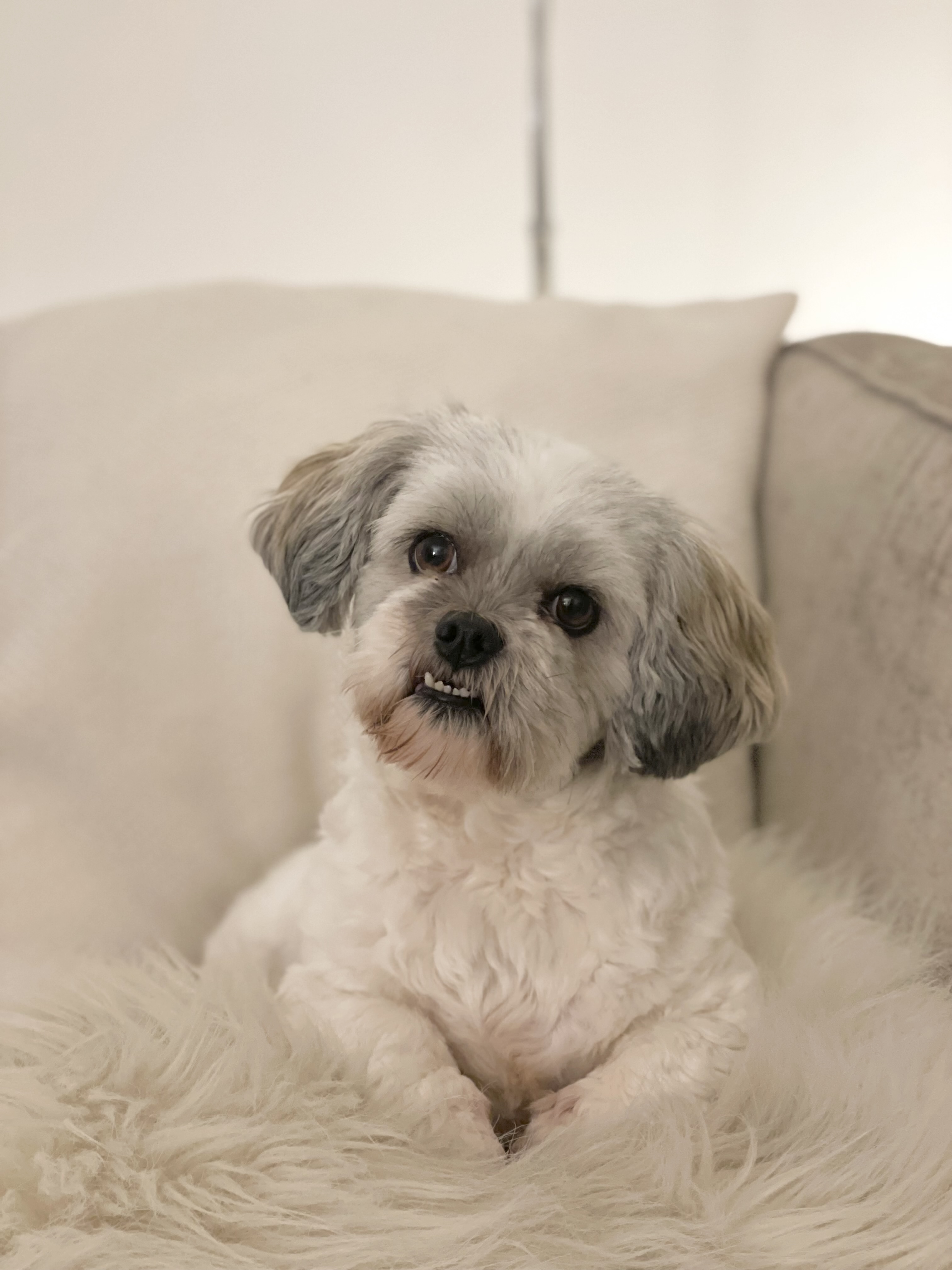 Chloe